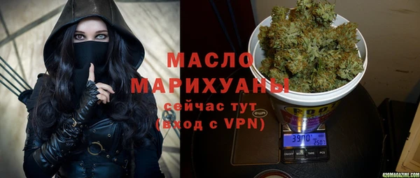 индика Богородицк