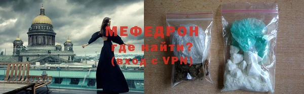 индика Богородицк