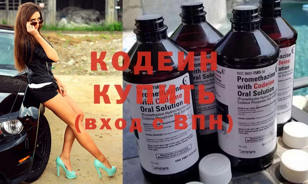 индика Богородицк