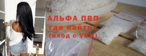 индика Богородицк