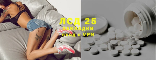 индика Богородицк