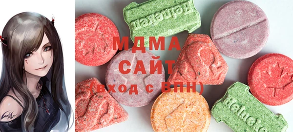 индика Богородицк