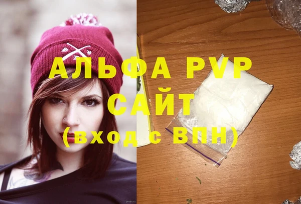 стафф Богданович