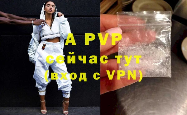 индика Богородицк