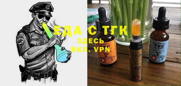 индика Богородицк