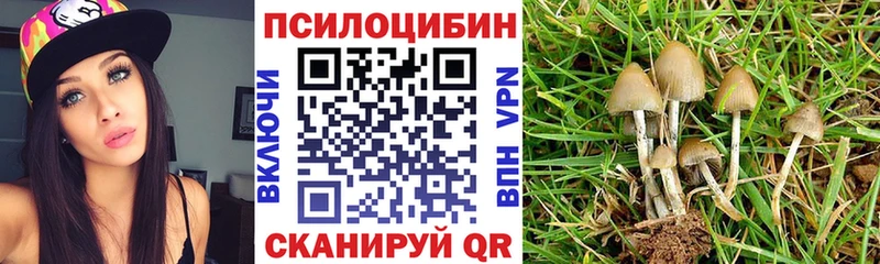 Галлюциногенные грибы Magic Shrooms  omg онион  Ульяновск 
